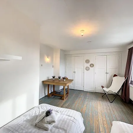 Mandelmeeuw - Tatil Evi De Haan